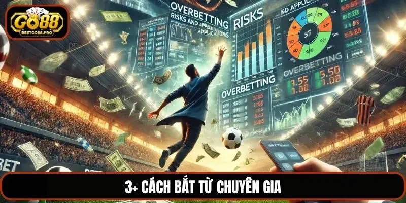 3+ cách bắt từ chuyên gia