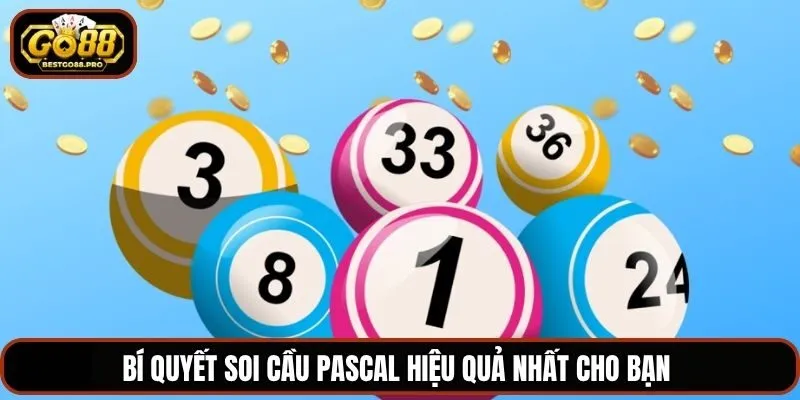 Bí quyết soi cầu pascal hiệu quả nhất cho bạn 