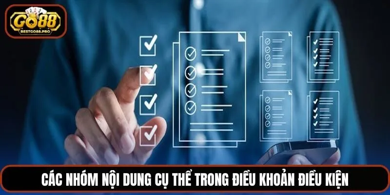 Các nhóm nội dung cụ thể trong điều khoản điều kiện