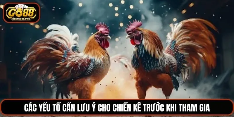 Các yếu tố cần lưu ý cho chiến kê trước khi tham gia