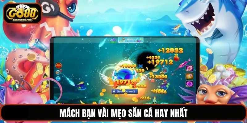 Mách bạn vài mẹo săn cá hay nhất