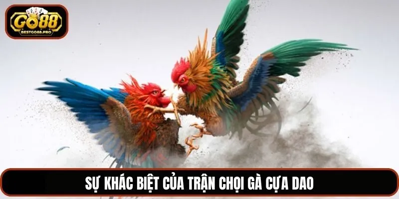 Sự khác biệt của trận chọi gà cựa dao